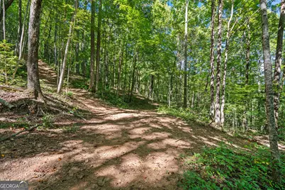 0 Old Highway 441 North, Clayton, GA 30525 - Photo 11