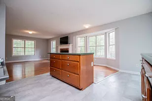1045 Grice Rd, Roopville, GA 30170 - Photo 19