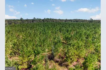 3999 Oscar Tippins Road, Baxley, GA 31513 - Photo 9