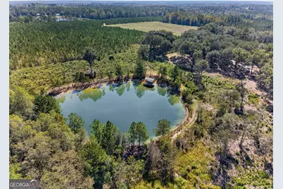 3999 Oscar Tippins Road, Baxley, GA 31513 - Photo 11