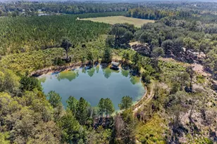 3999 Oscar Tippins Rd, Baxley, GA 31513 - Photo 11
