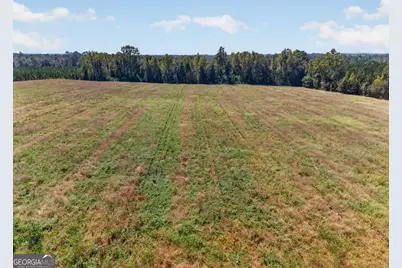 3999 Oscar Tippins Road, Baxley, GA 31513 - Photo 7