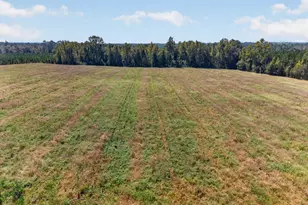 3999 Oscar Tippins Rd, Baxley, GA 31513 - Photo 7