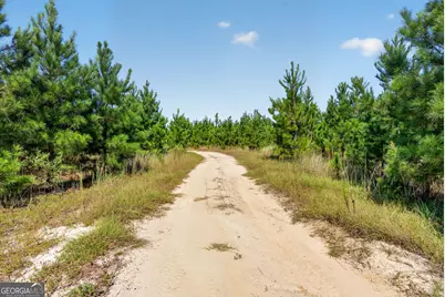 3999 Oscar Tippins Road, Baxley, GA 31513 - Photo 21