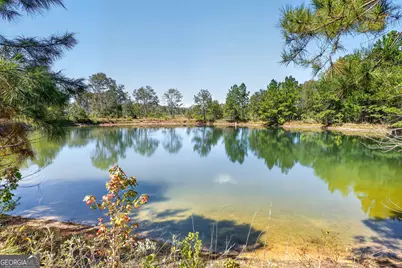 3999 Oscar Tippins Road, Baxley, GA 31513 - Photo 37