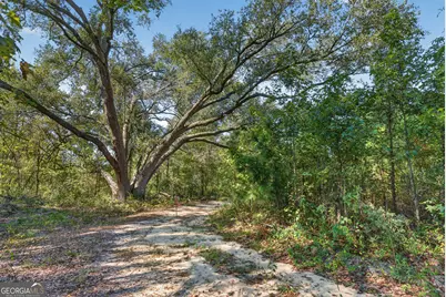 3999 Oscar Tippins Road, Baxley, GA 31513 - Photo 25