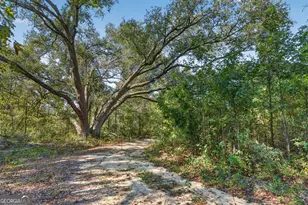 3999 Oscar Tippins Rd, Baxley, GA 31513 - Photo 25
