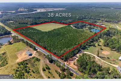 3999 Oscar Tippins Road, Baxley, GA 31513 - Photo 1