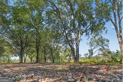 3999 Oscar Tippins Road, Baxley, GA 31513 - Photo 39