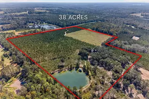 3999 Oscar Tippins Rd, Baxley, GA 31513 - Photo 3