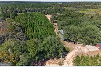 3999 Oscar Tippins Road, Baxley, GA 31513 - Photo 13