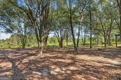 3999 Oscar Tippins Road, Baxley, GA 31513 - Photo 33