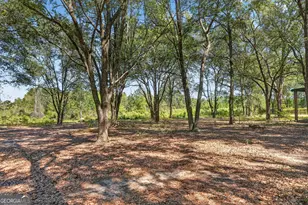 3999 Oscar Tippins Rd, Baxley, GA 31513 - Photo 33