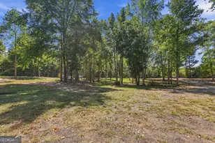3785 Allie Rd, Greenville, GA 30222 - Photo 57