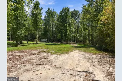 3785 Allie Road, Greenville, GA 30222 - Photo 63