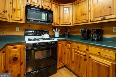 305 Martin Crossing, Cherry Log, GA 30522 - Photo 7
