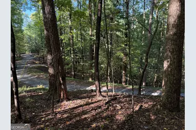 0 Mountain View Court #J349-350, Ellijay, GA 30536 - Photo 7