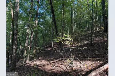 0 Mountain View Court #J349-350, Ellijay, GA 30536 - Photo 5
