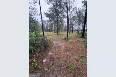106 Sunshine Road, Hortense, GA 31543 - Photo 21