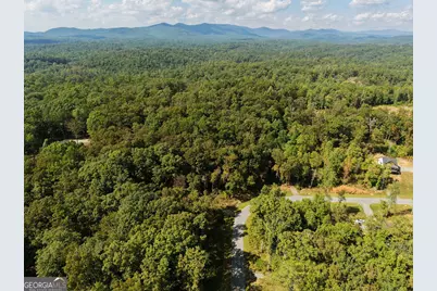 21 Lake Top Lane, Ellijay, GA 30540 - Photo 9