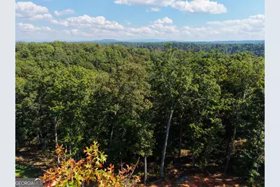 21 Lake Top Lane, Ellijay, GA 30540 - Photo 13
