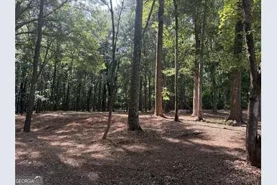 1310 Ivywood Drive, Athens, GA 30606 - Photo 67