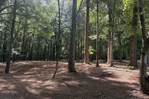 1310 Ivywood Dr, Athens, GA 30606 - Photo 67