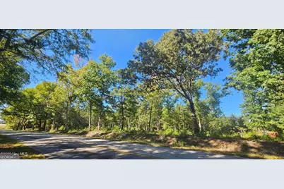Tract 2 Bethany Church Road, Lincolnton, GA 30817 - Photo 3