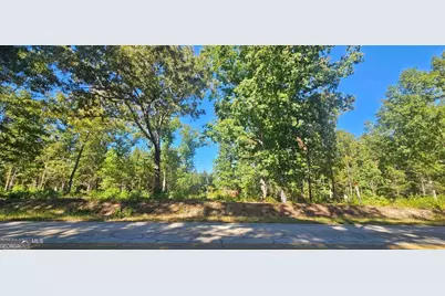 Tract 2 Bethany Church Road, Lincolnton, GA 30817 - Photo 5