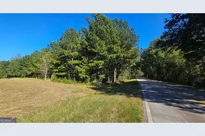 Tract 3 Bethany Church Road, Lincolnton, GA 30817 - Photo 3