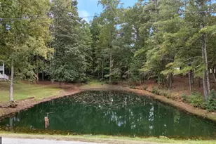 165 Hal Jones Rd, Newnan, GA 30263 - Photo 11