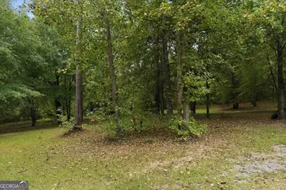 312 Blounts Chapel Road, Haddock, GA 31033 - Photo 23