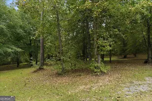 312 Blounts Chapel Rd, Haddock, GA 31033 - Photo 23