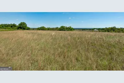 63 Hayes Road, Mauk, GA 31058 - Photo 17