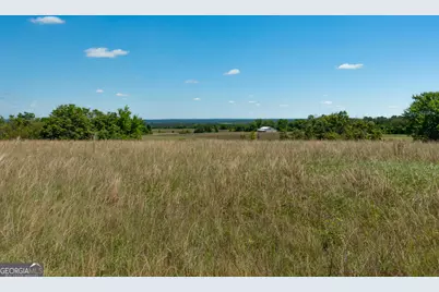 63 Hayes Road, Mauk, GA 31058 - Photo 7
