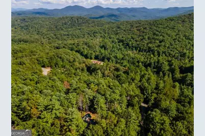 58 Papa Bear Path, Blue Ridge, GA 30513 - Photo 65