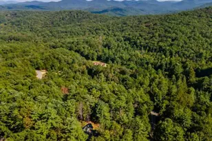 58 Papa Bear Path, Blue Ridge, GA 30513 - Photo 65