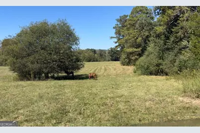 316 Beavers Road, Summerville, GA 30747 - Photo 5