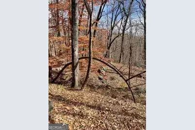 0 Yellow Trillium Estates #LOT 40, Clayton, GA 30525 - Photo 3