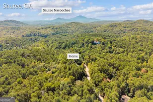 107 Hawks Nest, Sautee Nacoochee, GA 30571 - Photo 85