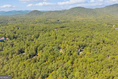 107 Hawks Nest, Sautee Nacoochee, GA 30571 - Photo 81