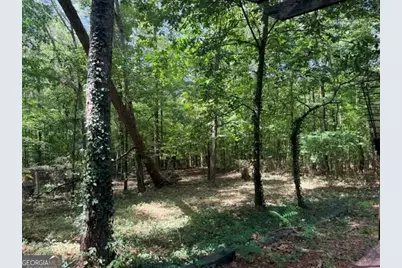 214 W Grantville Rd, Grantville, GA 30220 - Photo 31