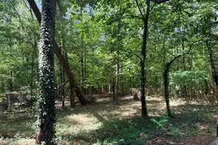 214 W Grantville Rd, Grantville, GA 30220 - Photo 31