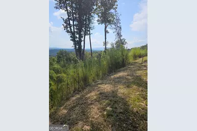 Lot 23 Mountain Laurel Ridge, Mineral Bluff, GA 30559 - Photo 7