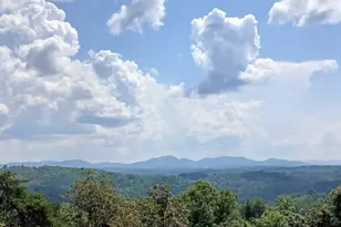 Lot 23 Mountain Laurel Ridge, Mineral Bluff, GA 30559 - Photo 1