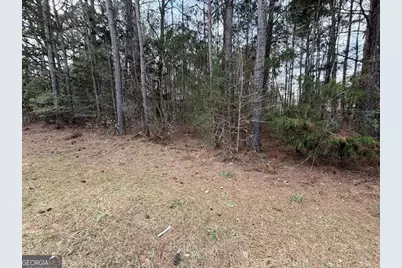 0 Chipley Highway, Pine Mountain, GA 31822 - Photo 11