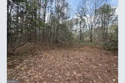 0 Chipley Highway, Pine Mountain, GA 31822 - Photo 9