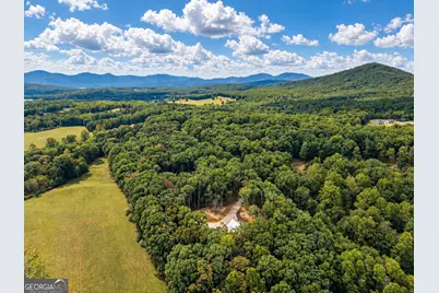 392 Mustang Trail, Blairsville, GA 30512 - Photo 3