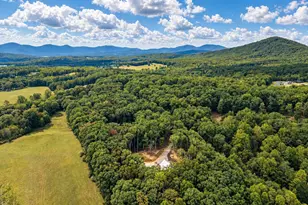 392 Mustang Trail, Blairsville, GA 30512 - Photo 3