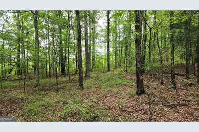 143 Highway 341 S, Barnesville, GA 30204 - Photo 11